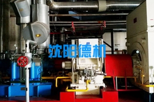 吉林珲春发电厂