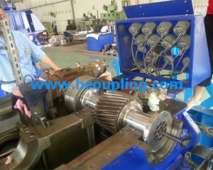 Maintenance of Voith coupling in Germany